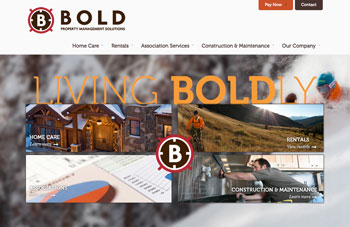 Bold Solutions Home Page